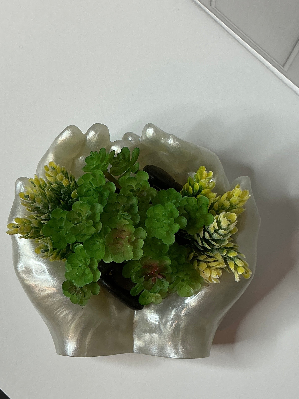 Hands Succulent Garden